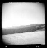 Holga - 14